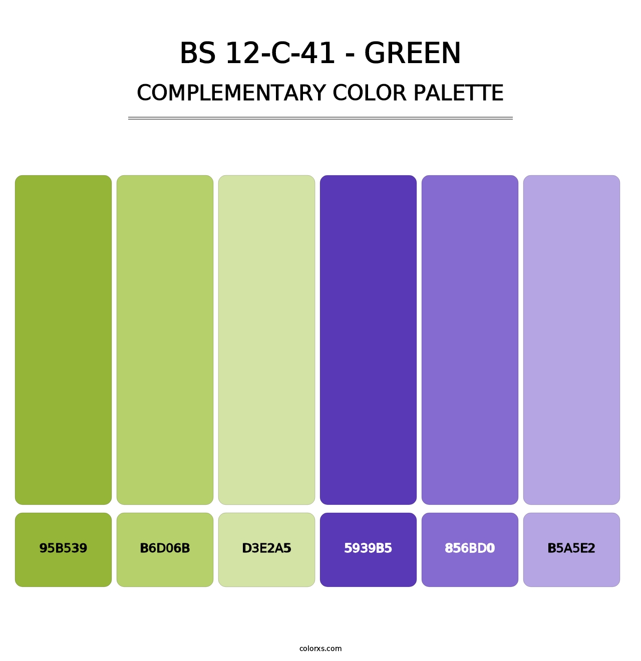 BS 12-C-41 - Green - Complementary Color Palette