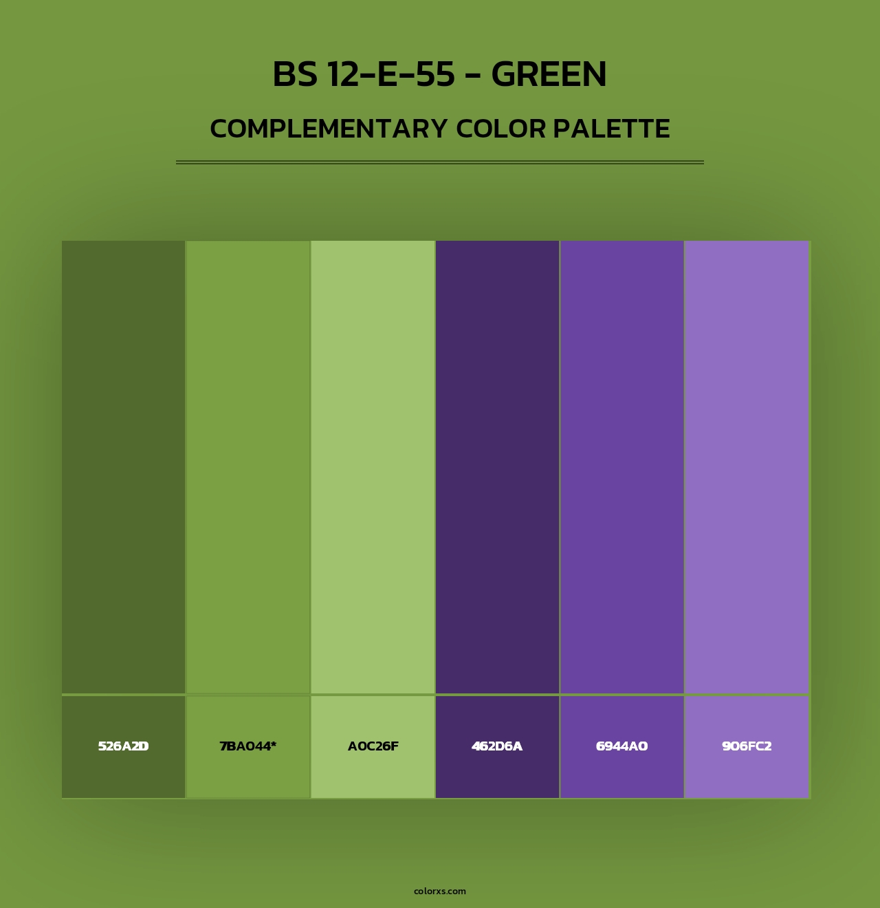 BS 12-E-55 - Green - Complementary Color Palette