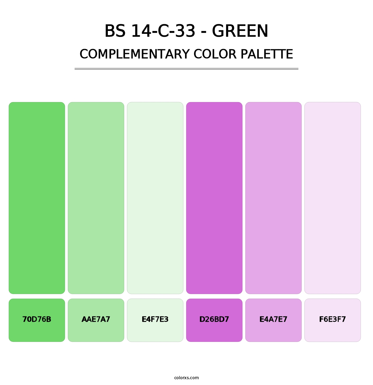 BS 14-C-33 - Green - Complementary Color Palette