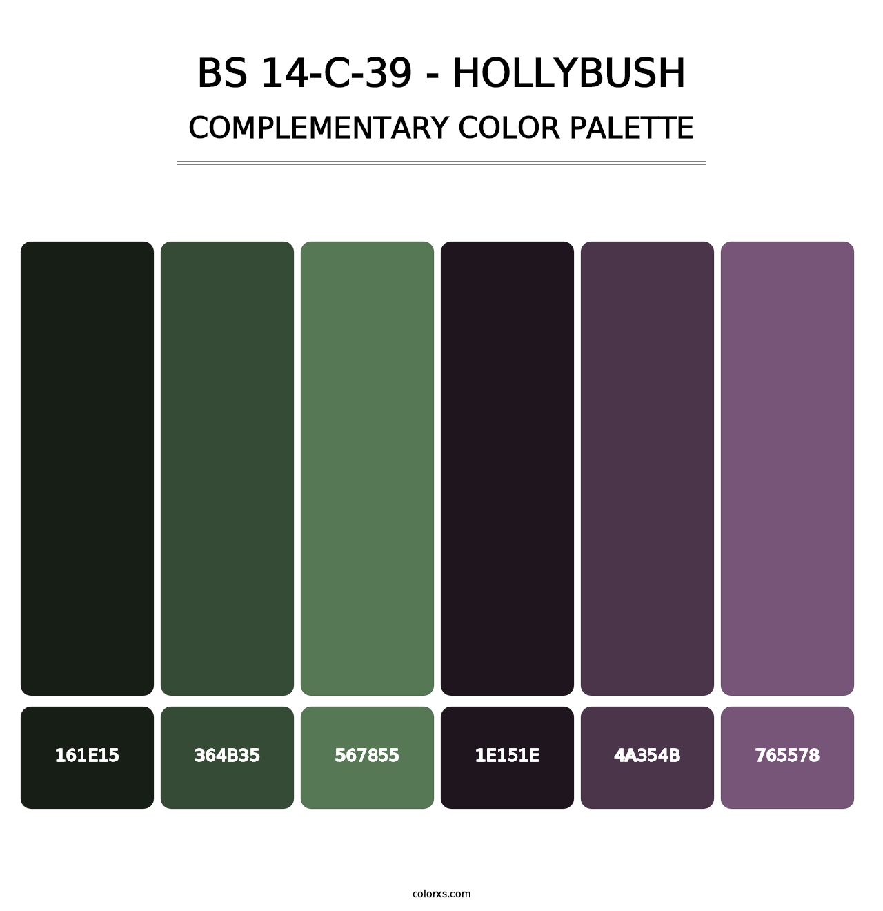 BS 14-C-39 - Hollybush - Complementary Color Palette