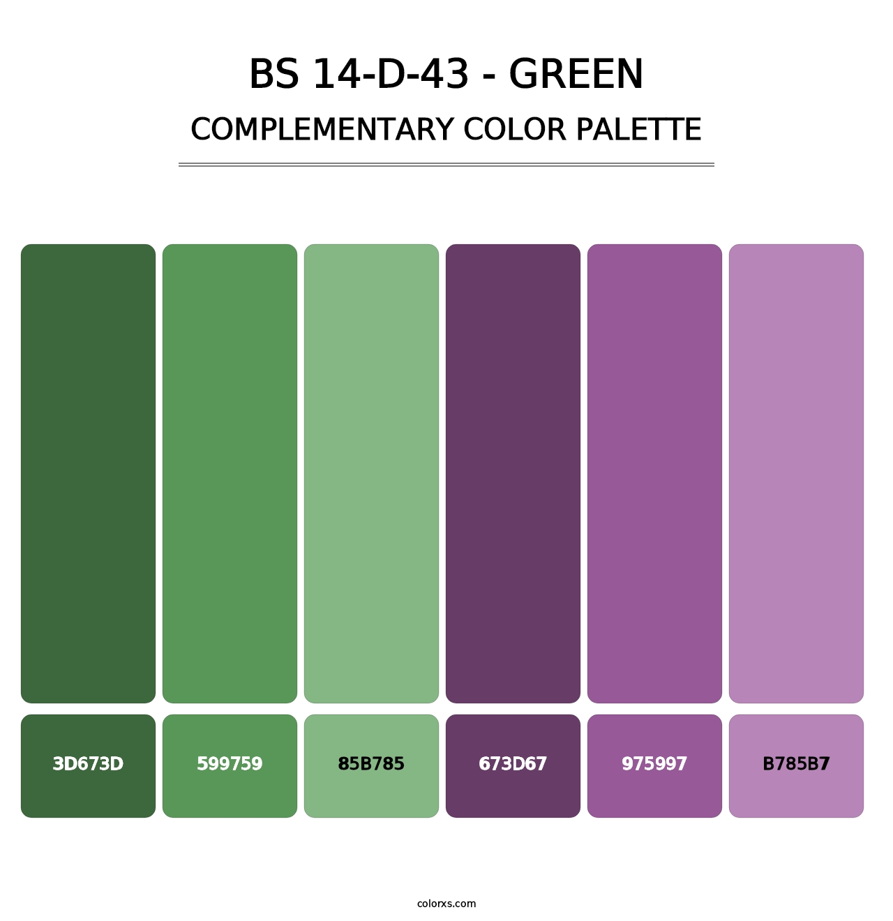 BS 14-D-43 - Green - Complementary Color Palette