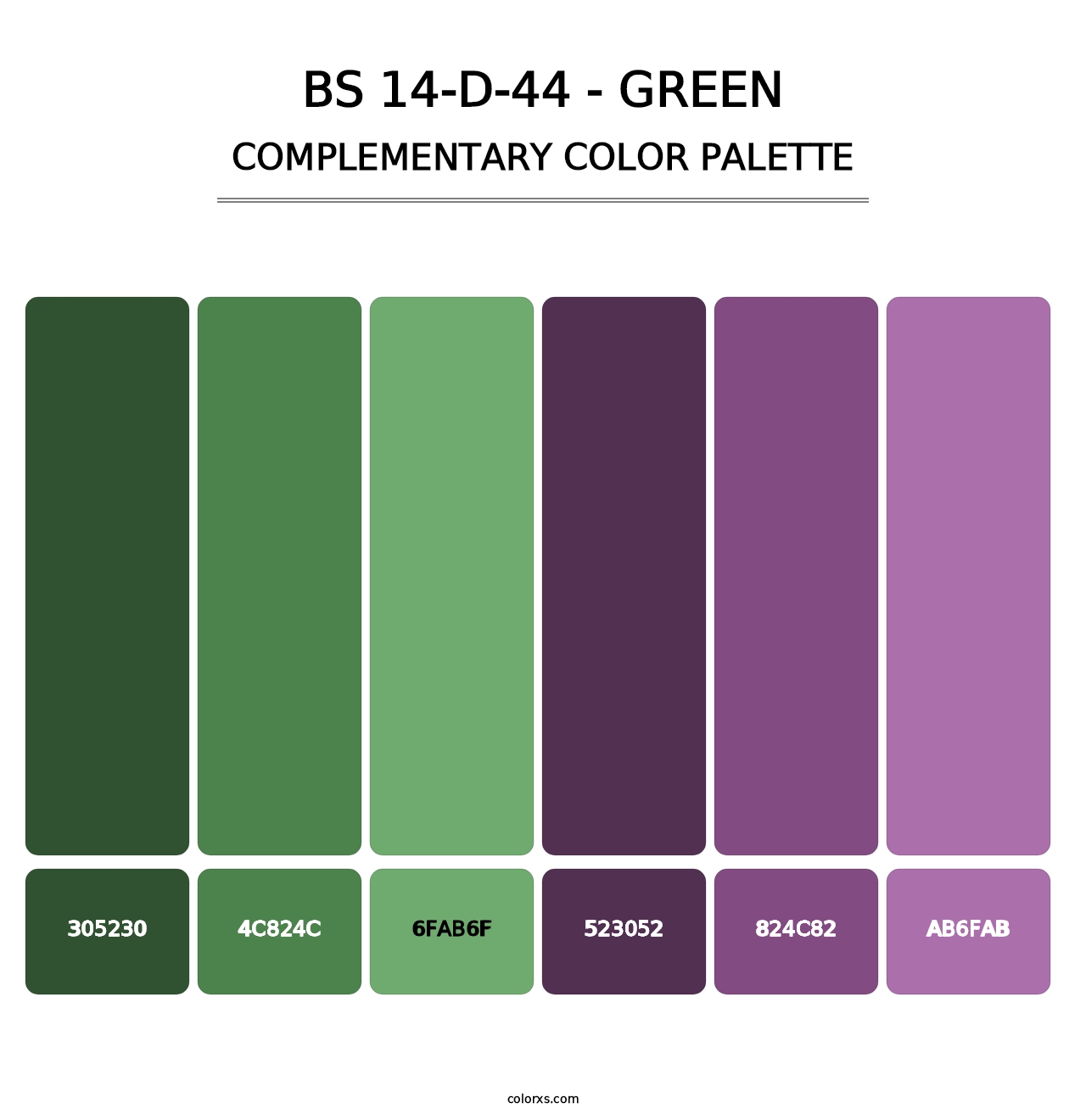 BS 14-D-44 - Green - Complementary Color Palette