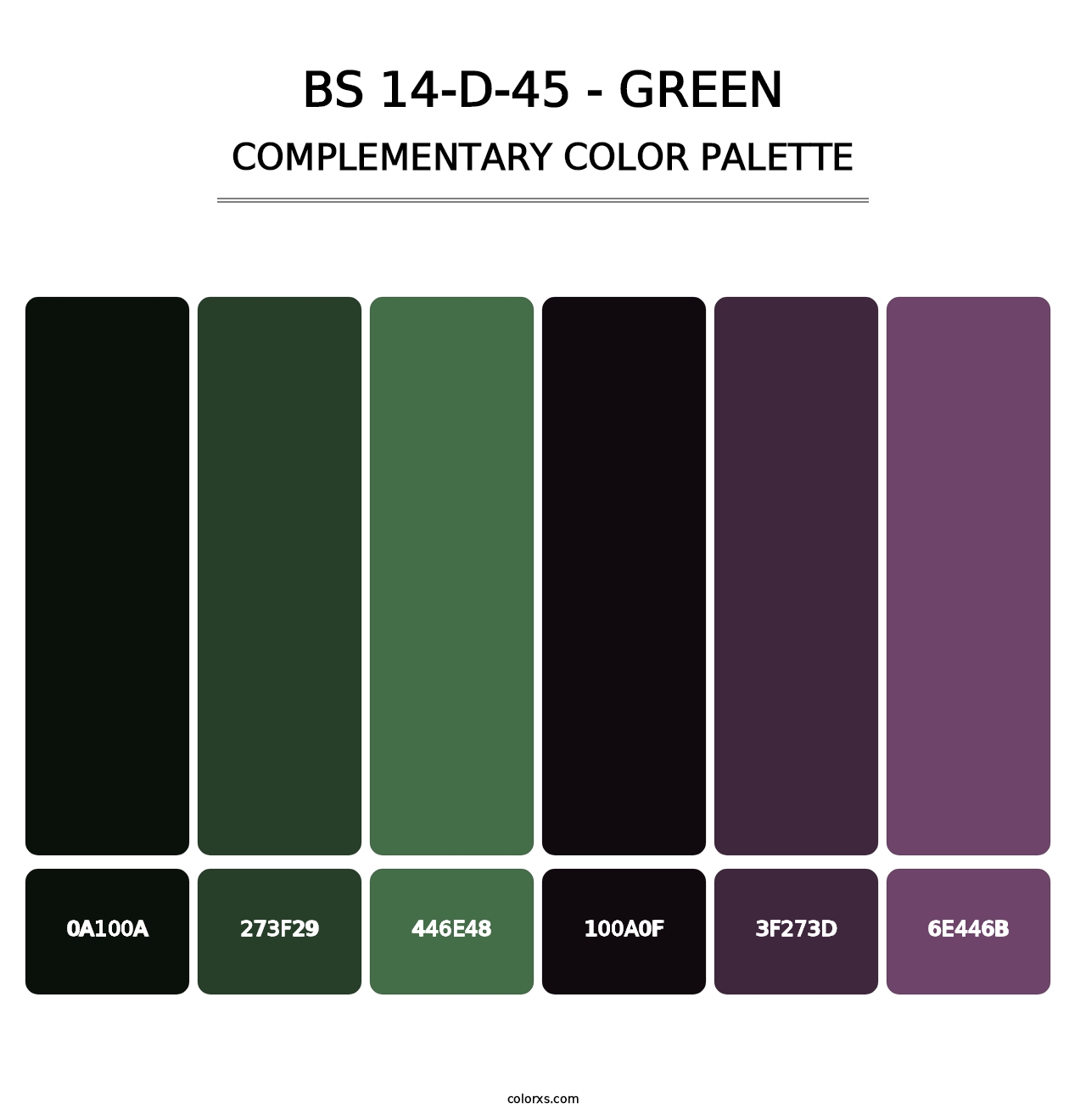 BS 14-D-45 - Green - Complementary Color Palette