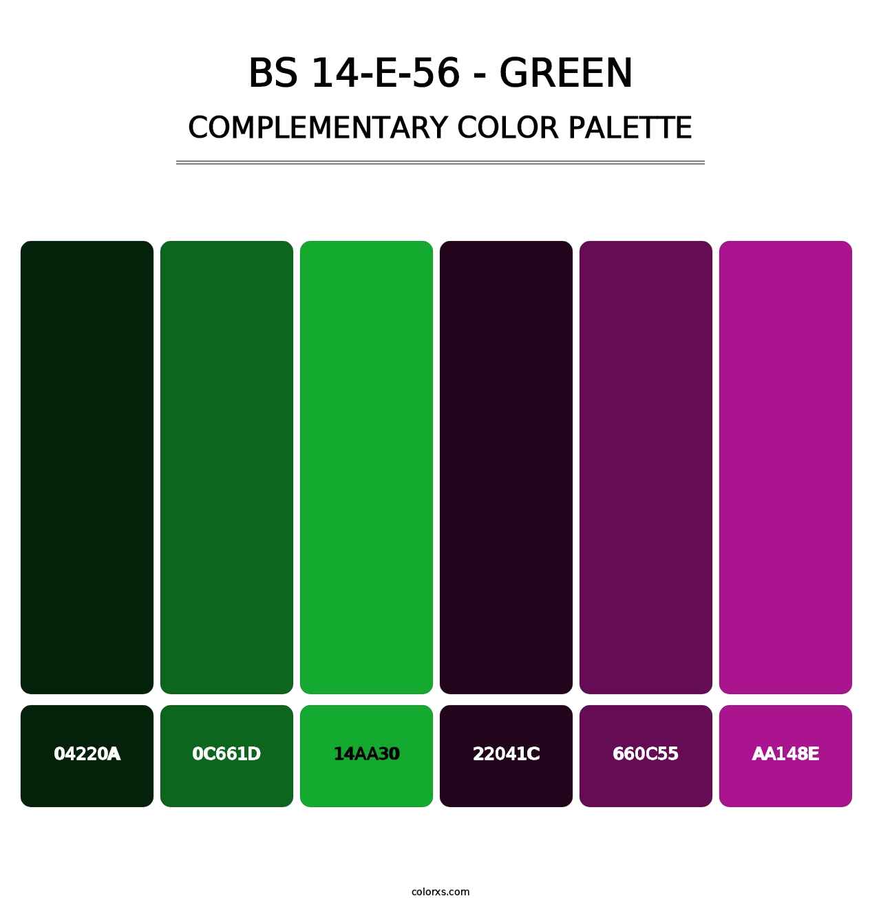 BS 14-E-56 - Green - Complementary Color Palette