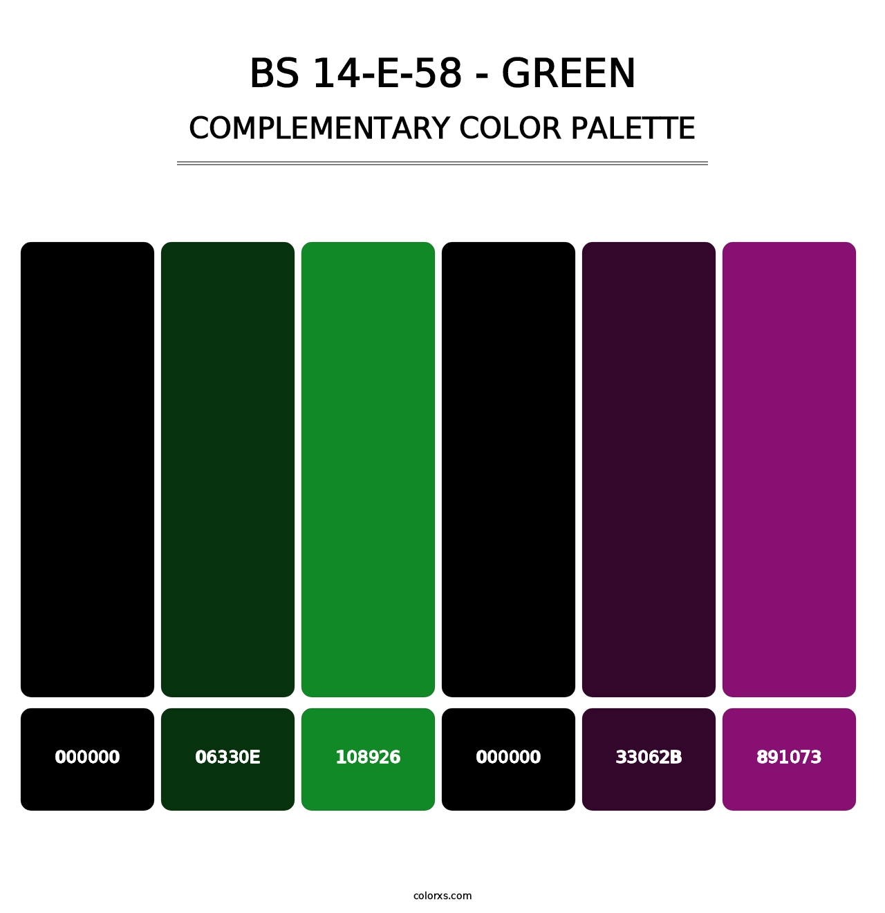 BS 14-E-58 - Green - Complementary Color Palette