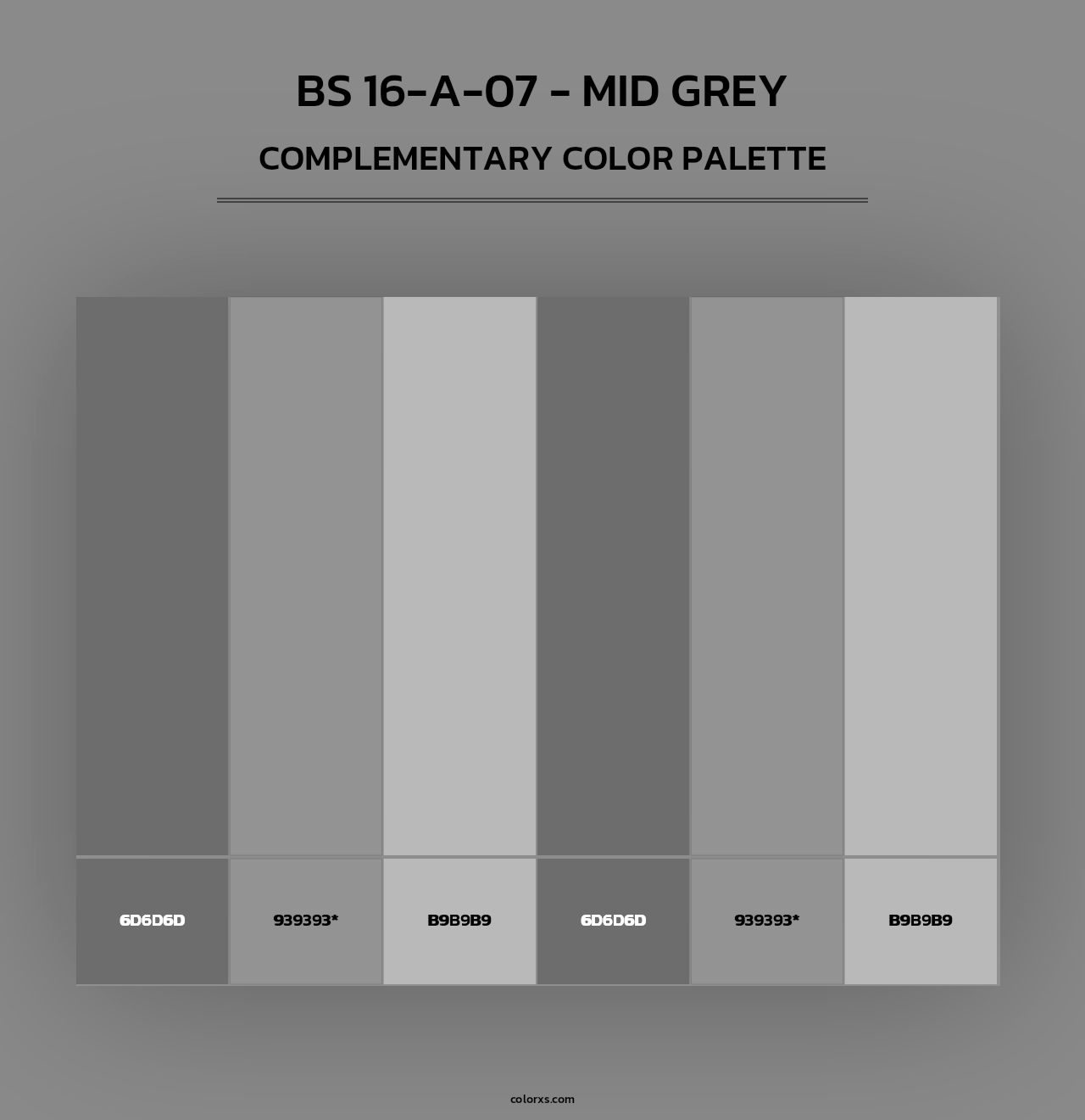 BS 16-A-07 - Mid Grey - Complementary Color Palette