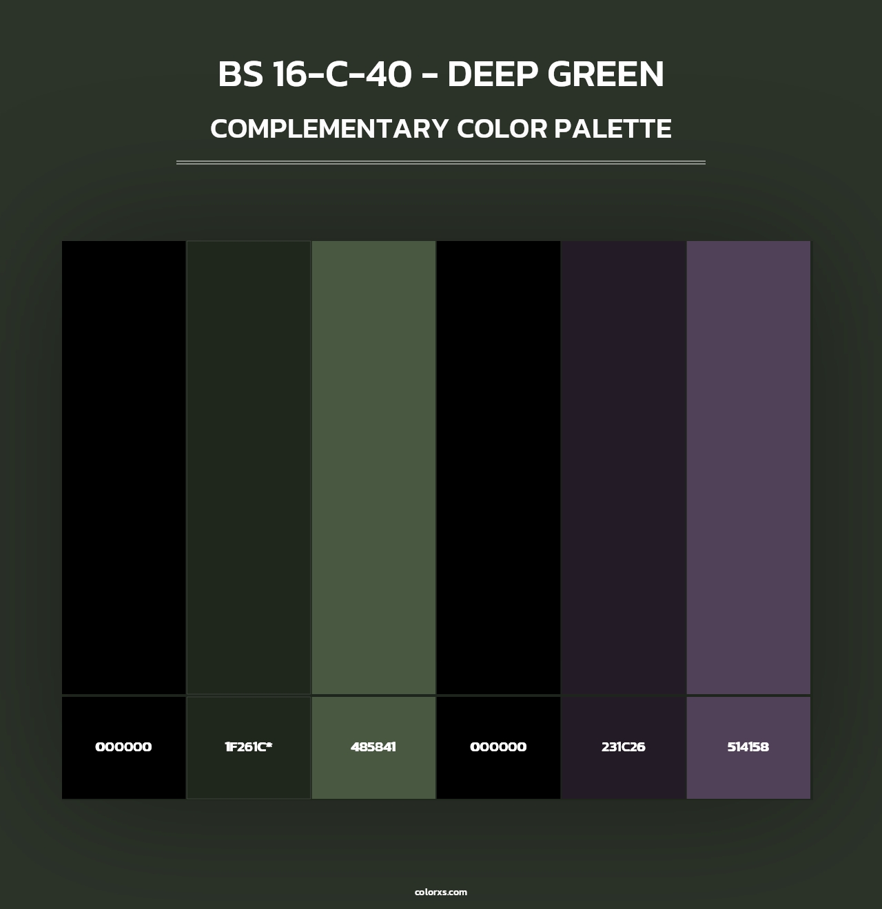 BS 16-C-40 - Deep Green - Complementary Color Palette