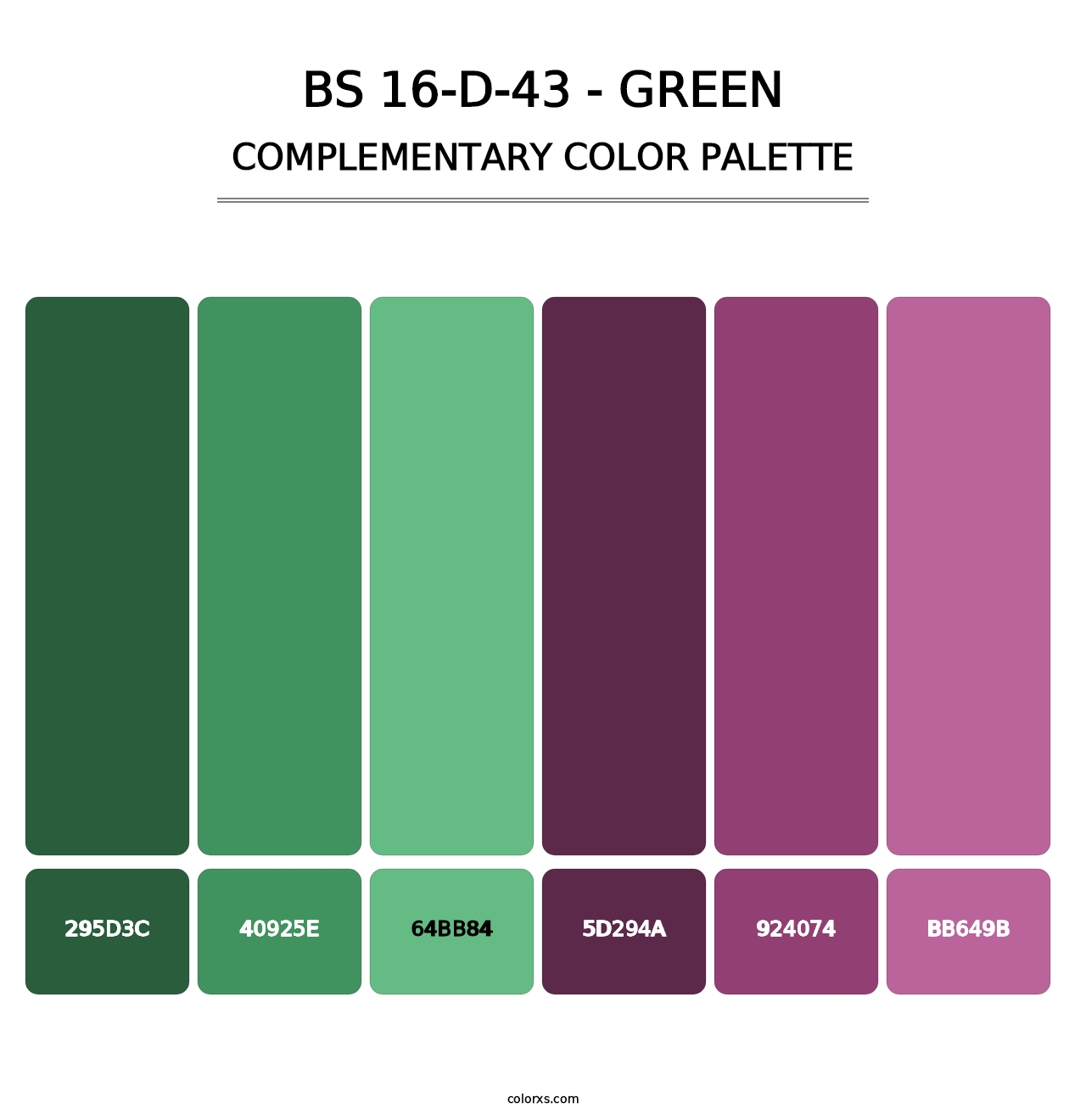 BS 16-D-43 - Green - Complementary Color Palette