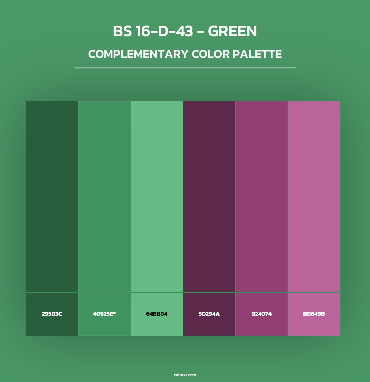 BS 16-D-43 - Green - Complementary Color Palette
