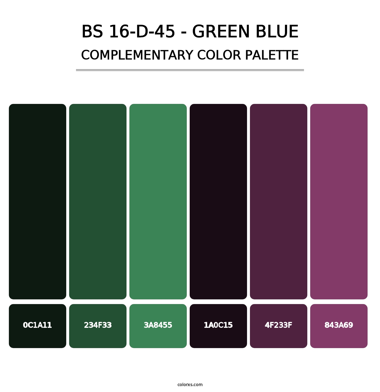 BS 16-D-45 - Green Blue - Complementary Color Palette