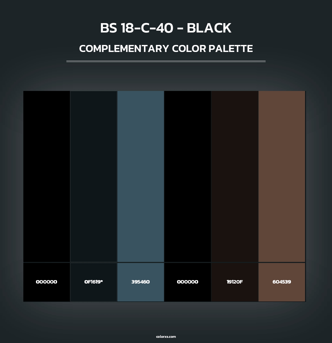 BS 18-C-40 - Black - Complementary Color Palette
