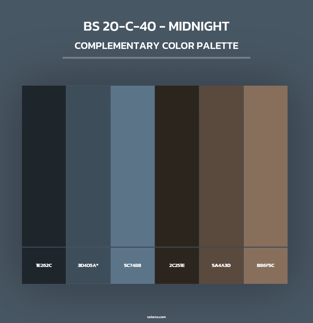 BS 20-C-40 - Midnight - Complementary Color Palette