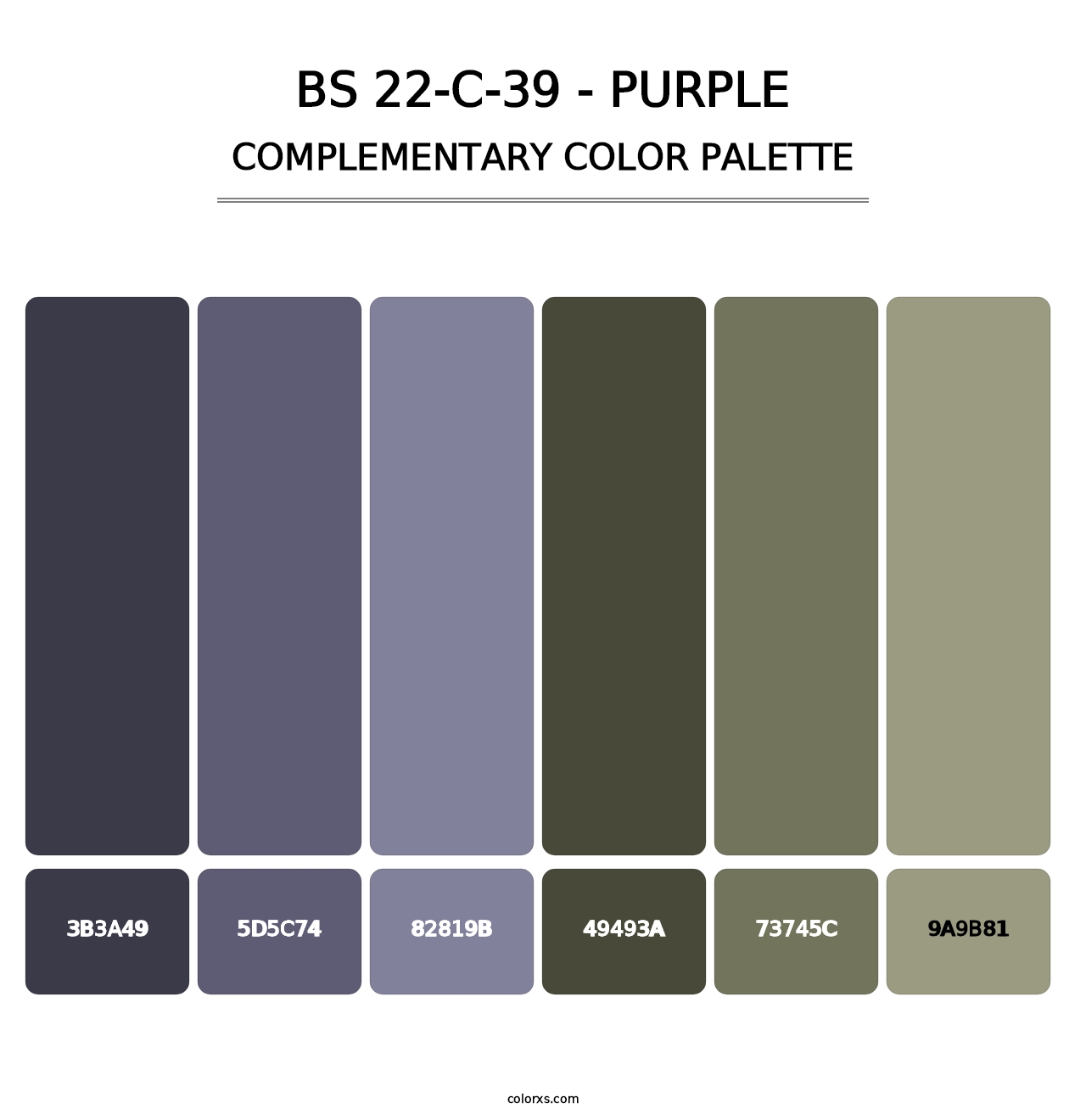 BS 22-C-39 - Purple - Complementary Color Palette