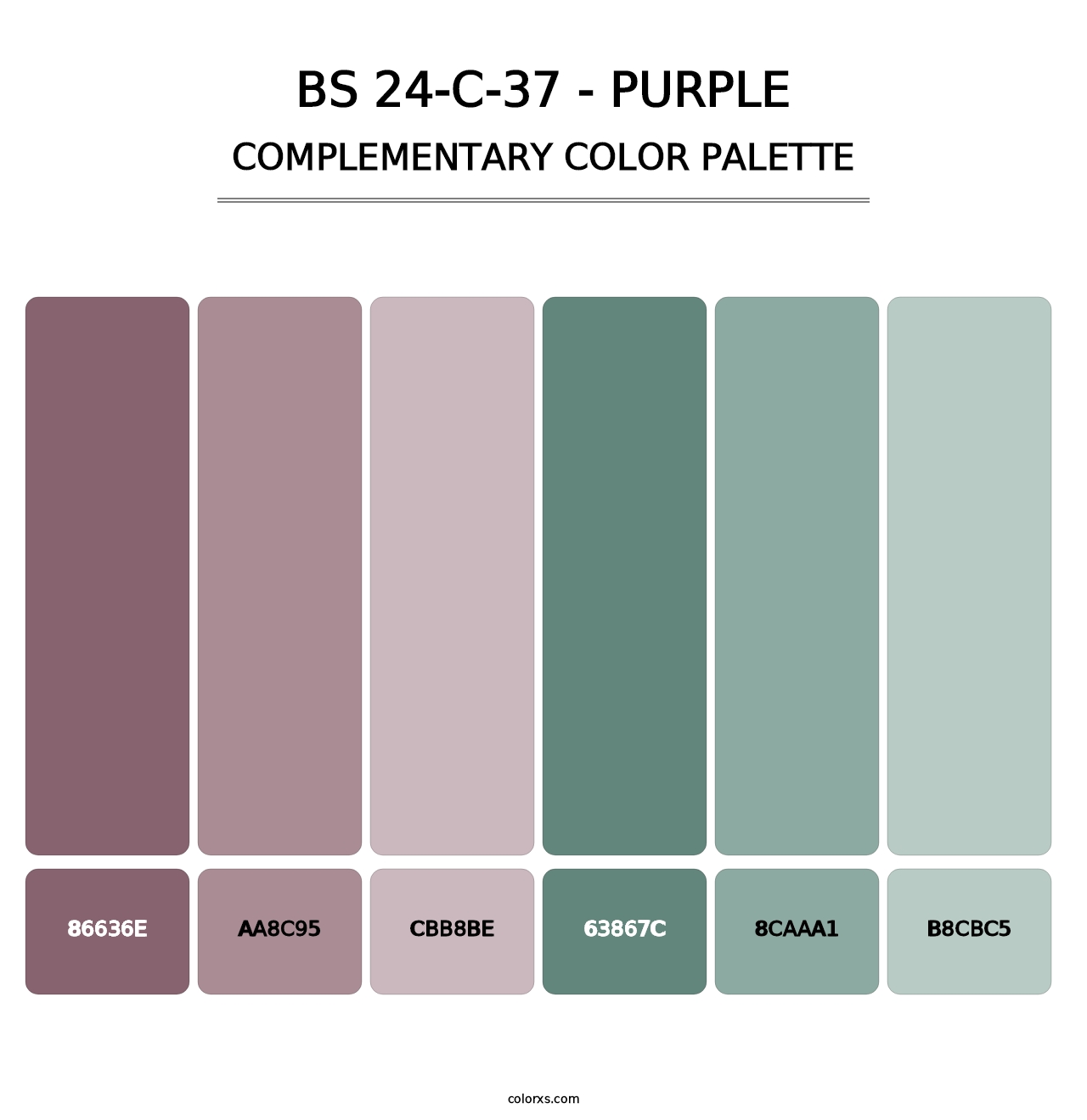 BS 24-C-37 - Purple - Complementary Color Palette