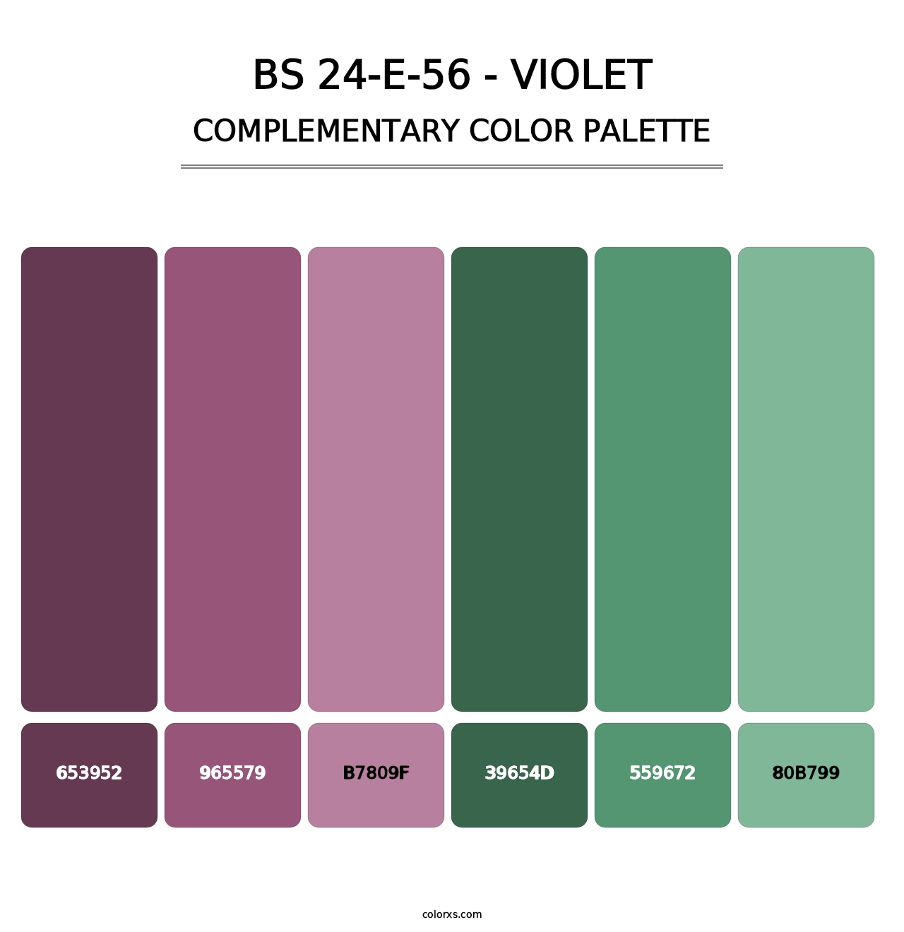 BS 24-E-56 - Violet - Complementary Color Palette