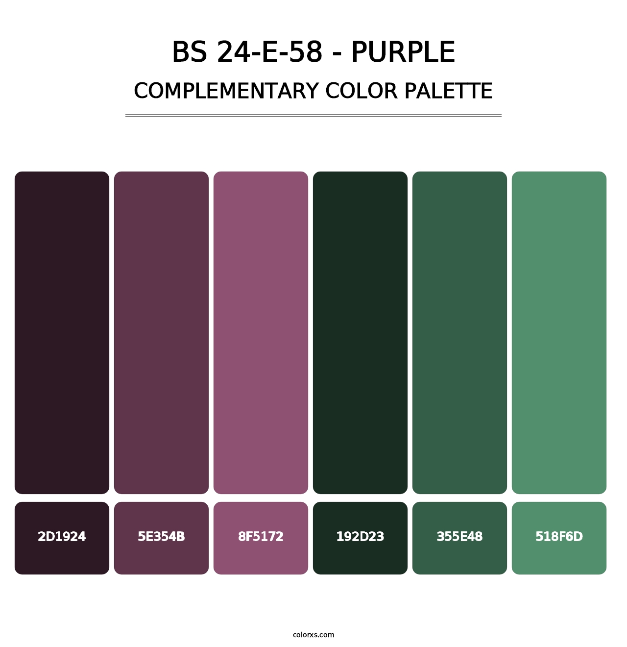 BS 24-E-58 - Purple - Complementary Color Palette