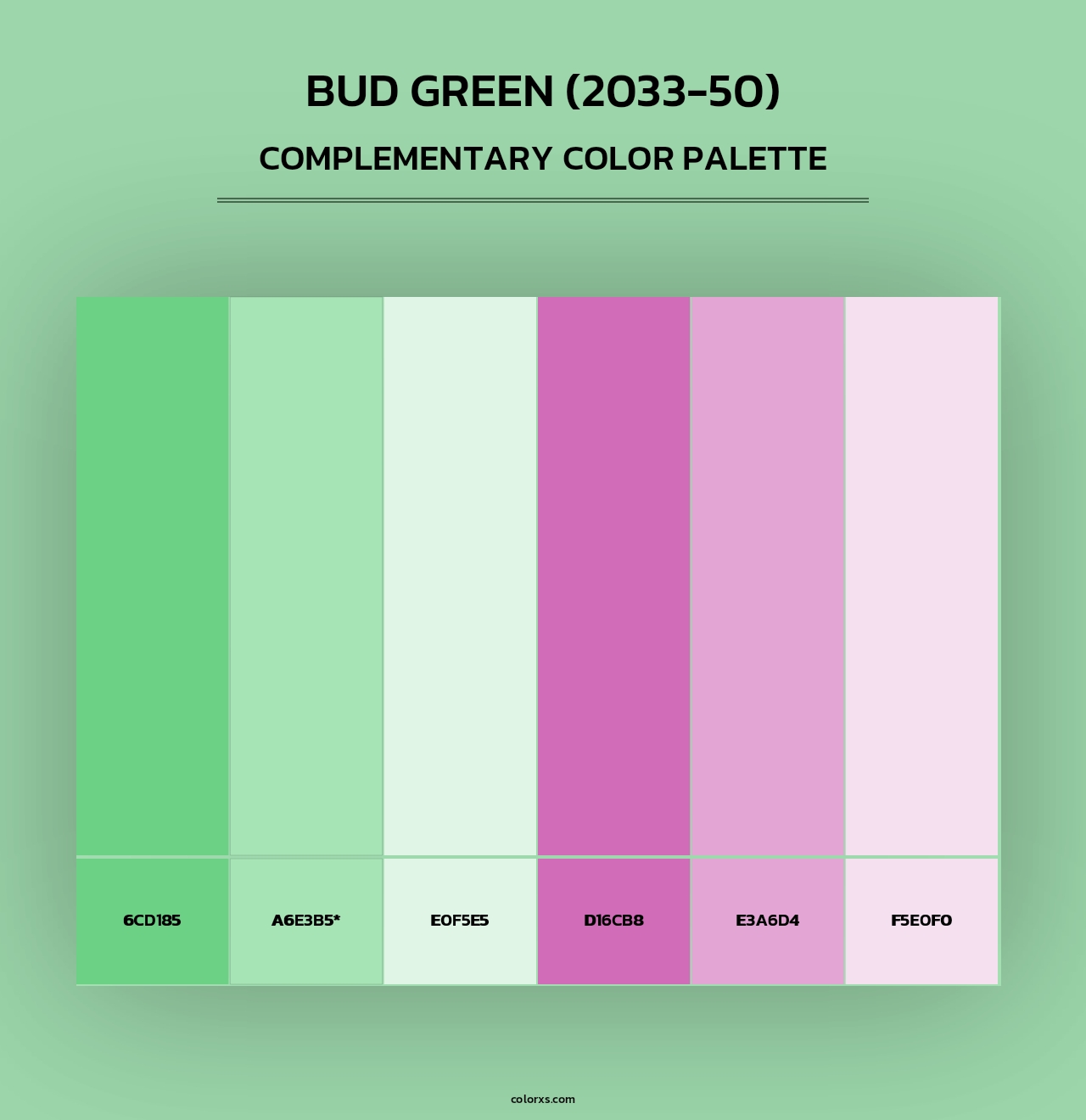 Bud Green (2033-50) - Complementary Color Palette