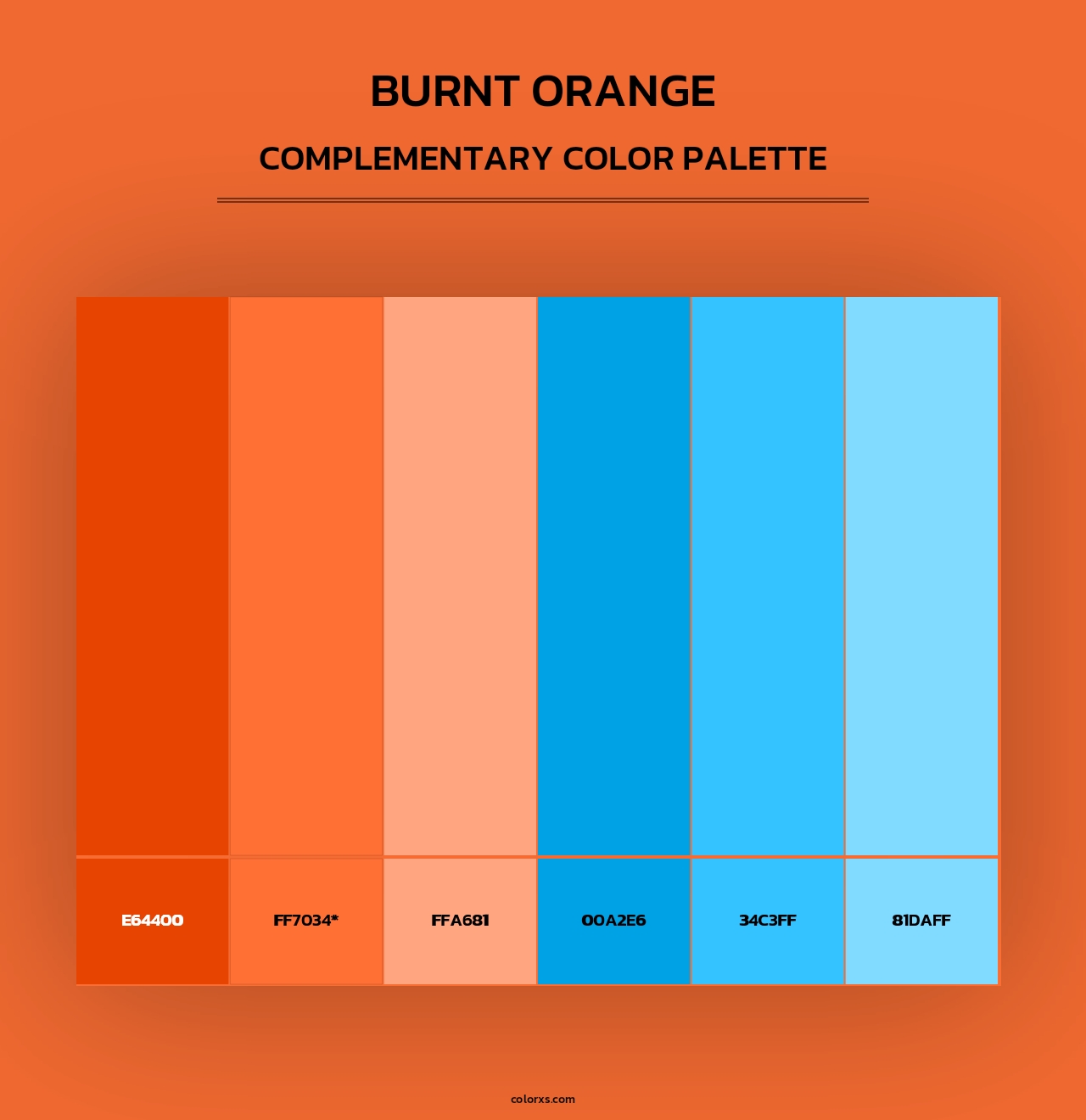 Burnt Orange - Complementary Color Palette