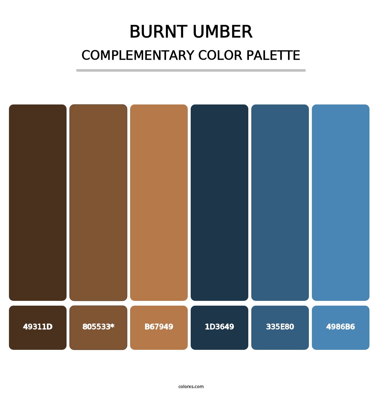 Burnt Umber - Complementary Color Palette