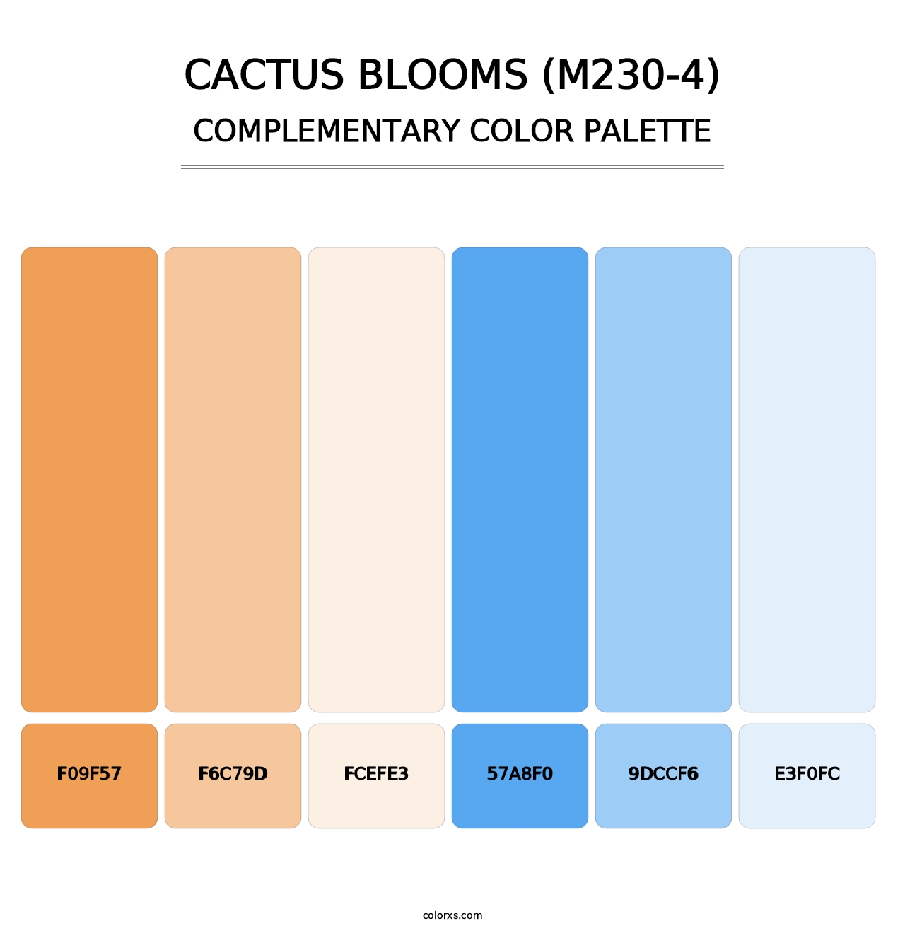 Cactus Blooms (M230-4) - Complementary Color Palette