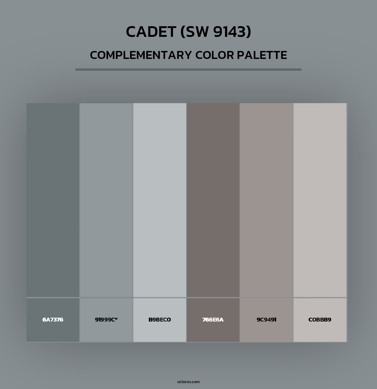 Cadet (SW 9143) - Complementary Color Palette