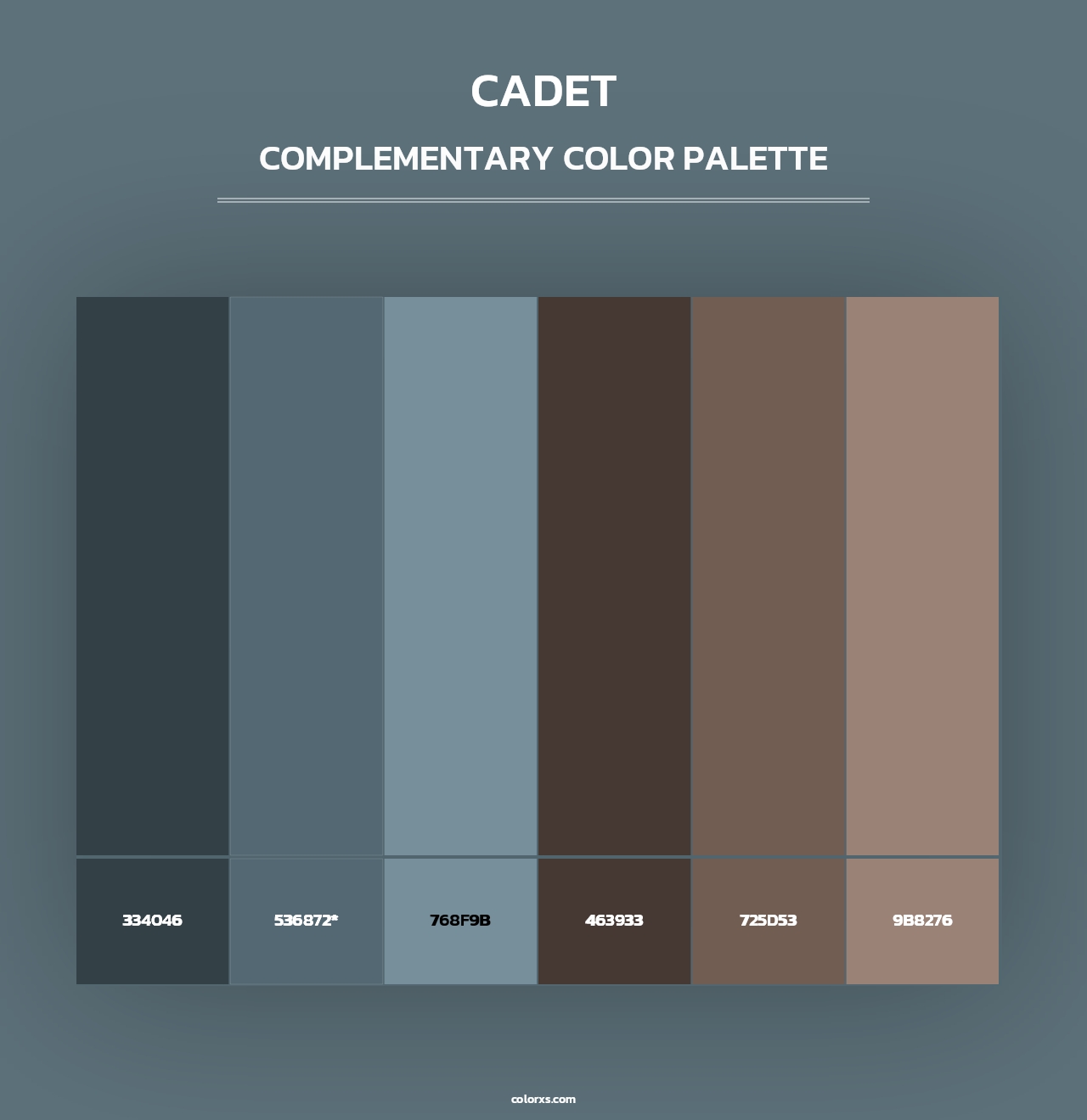 Cadet - Complementary Color Palette