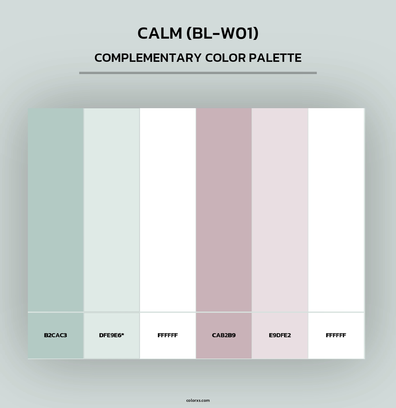 Calm (BL-W01) - Complementary Color Palette