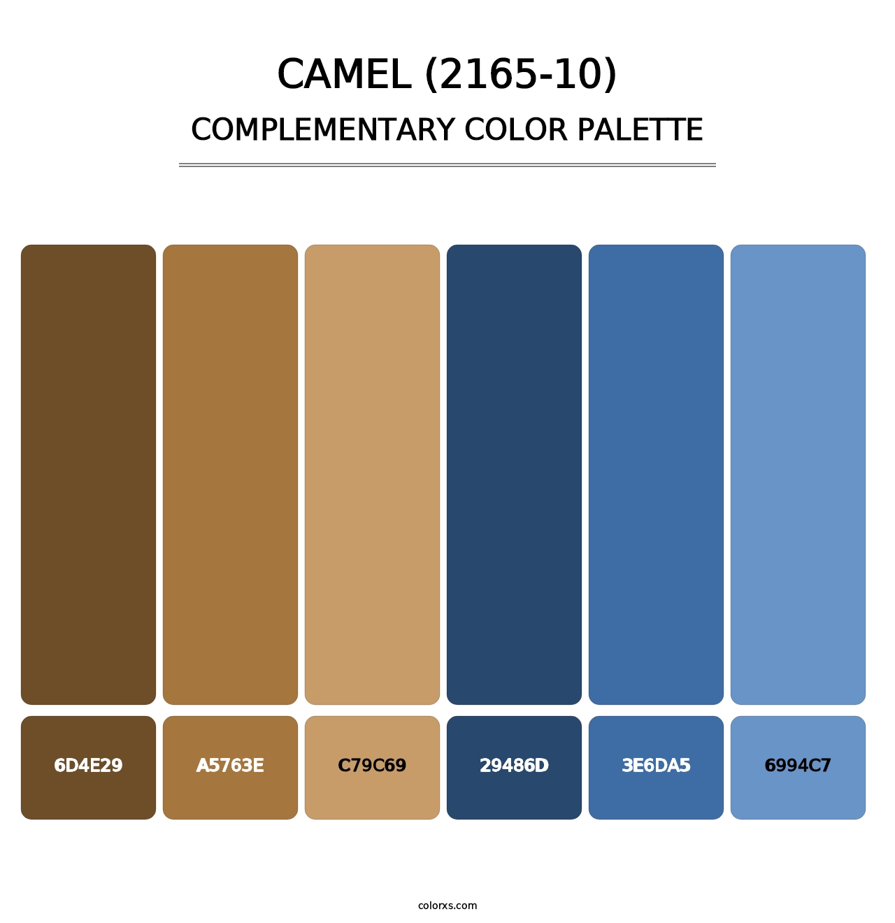 Camel (2165-10) - Complementary Color Palette