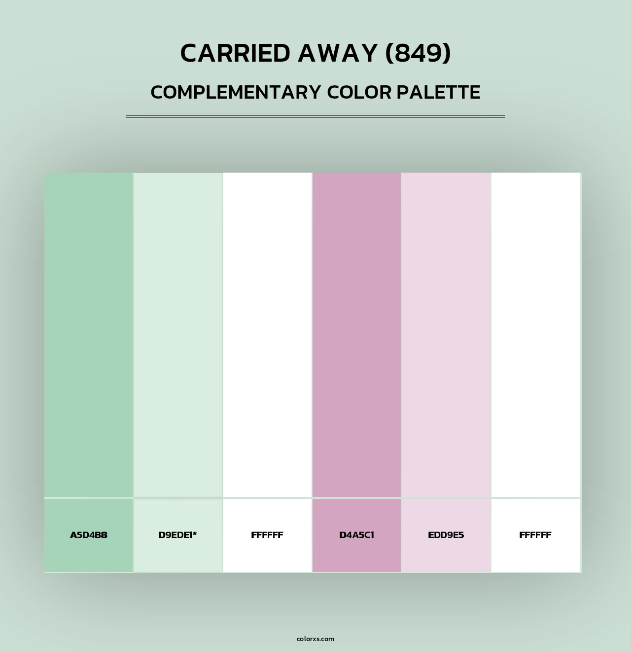 Carried Away (849) - Complementary Color Palette