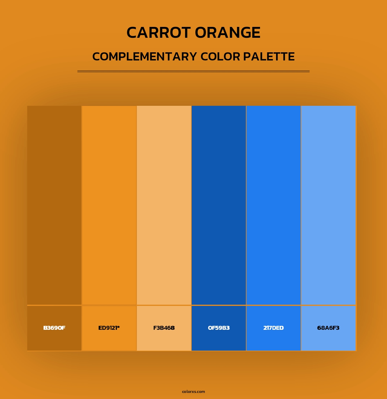 Carrot Orange - Complementary Color Palette