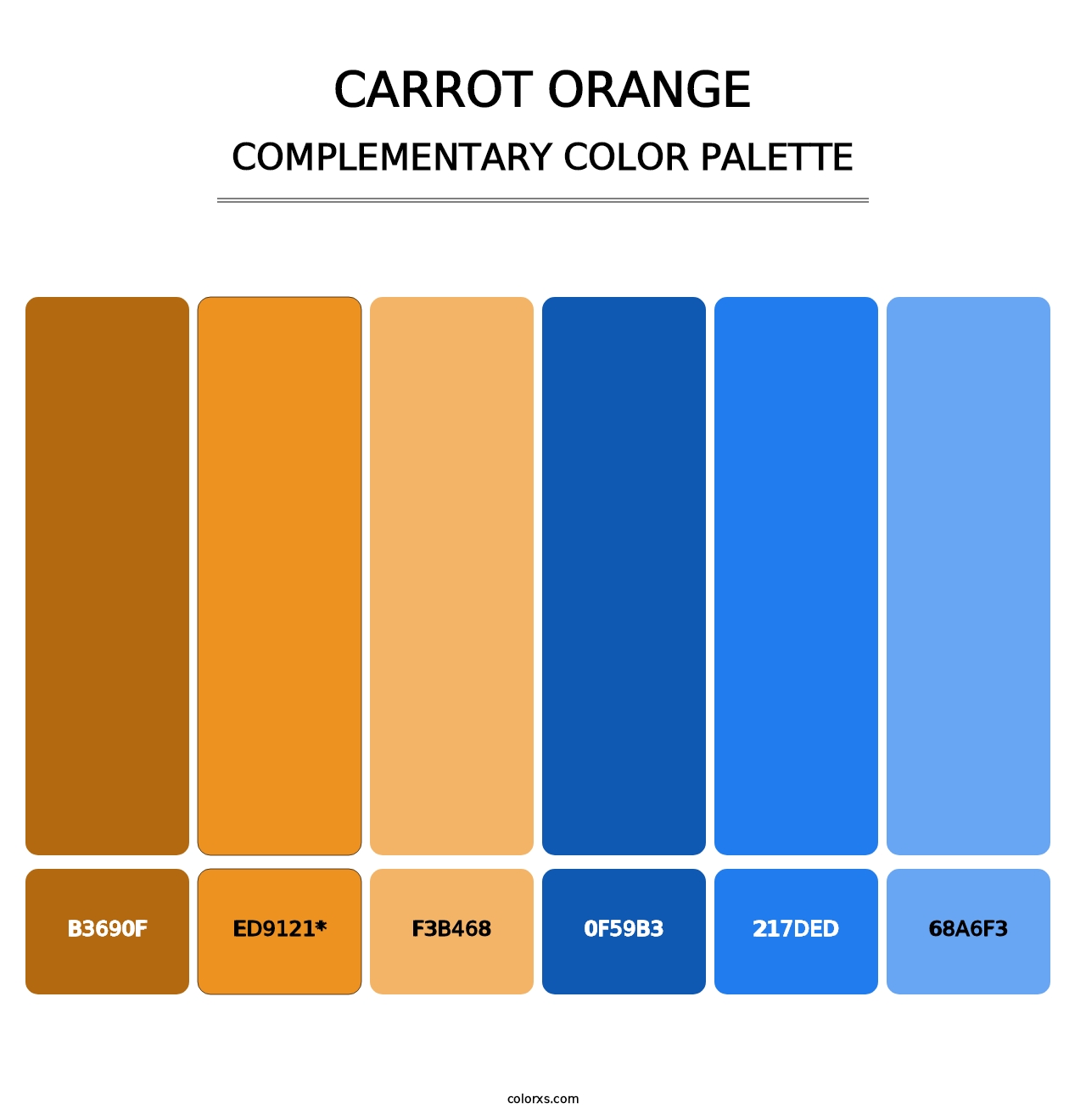 Carrot Orange - Complementary Color Palette
