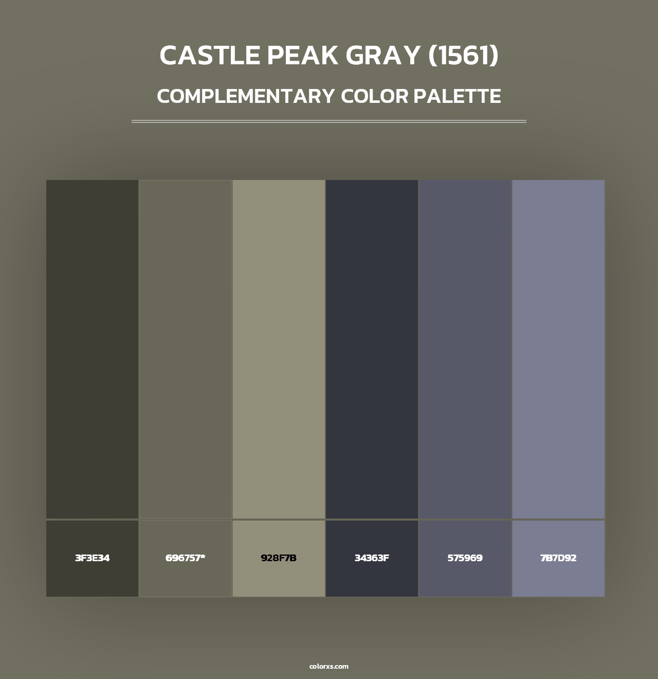 Castle Peak Gray (1561) - Complementary Color Palette