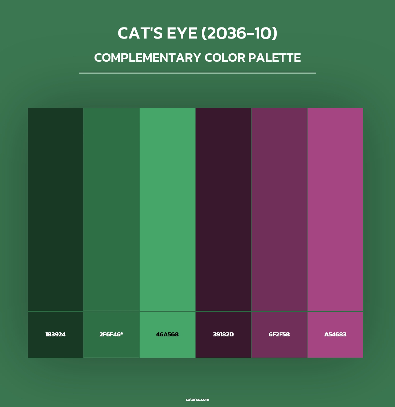 Cat's Eye (2036-10) - Complementary Color Palette