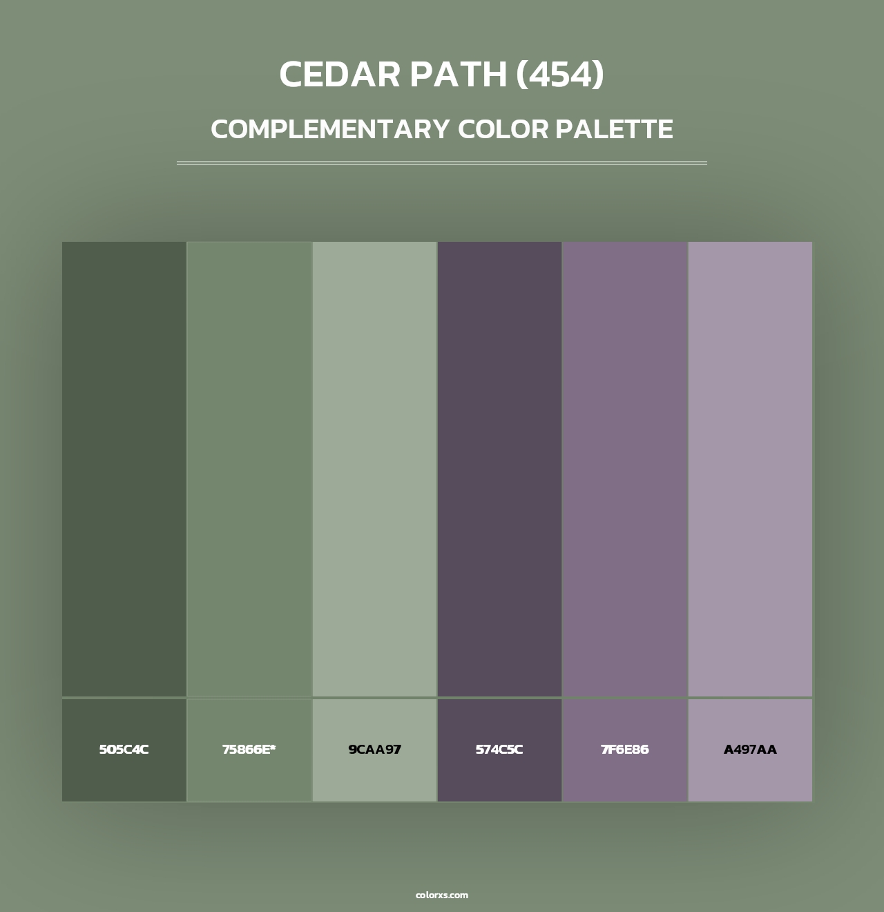 Cedar Path (454) - Complementary Color Palette
