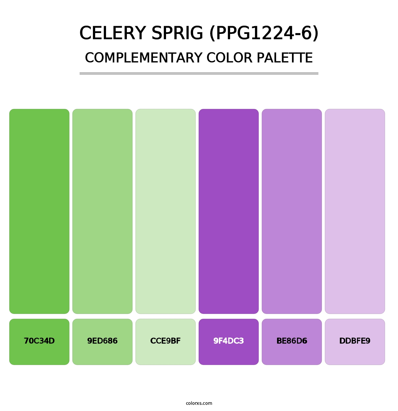 Celery Sprig (PPG1224-6) - Complementary Color Palette