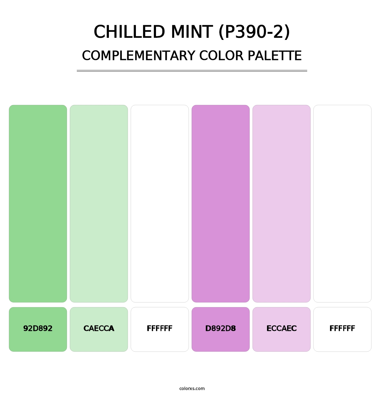 Chilled Mint (P390-2) - Complementary Color Palette