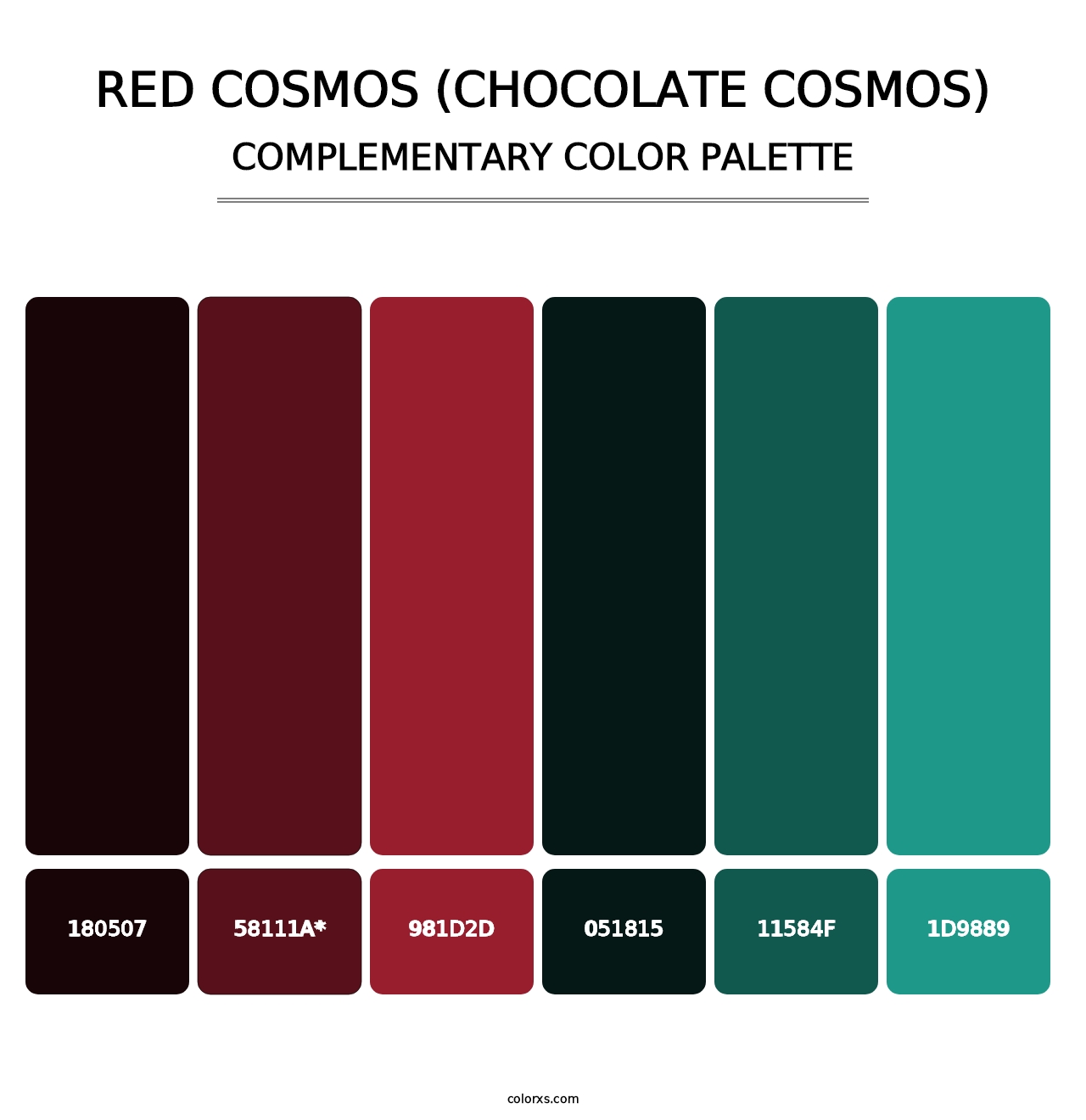 Red Cosmos (Chocolate Cosmos) - Complementary Color Palette