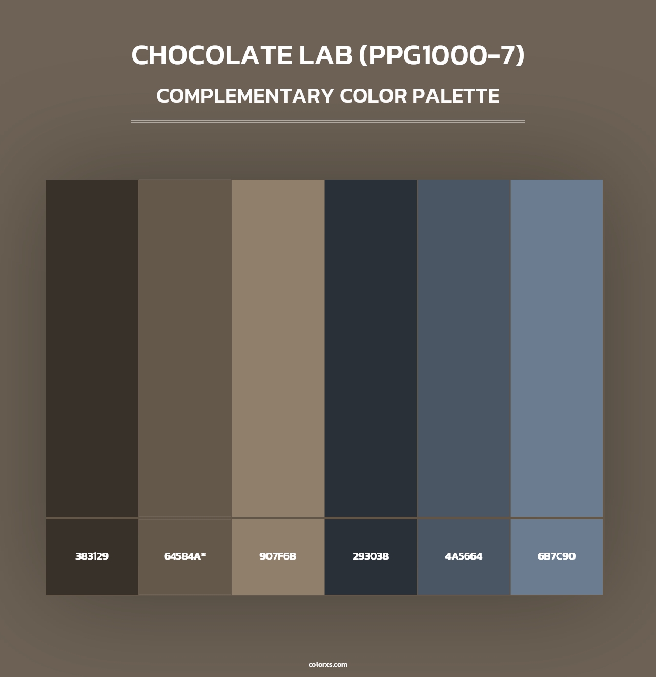 Chocolate Lab (PPG1000-7) - Complementary Color Palette
