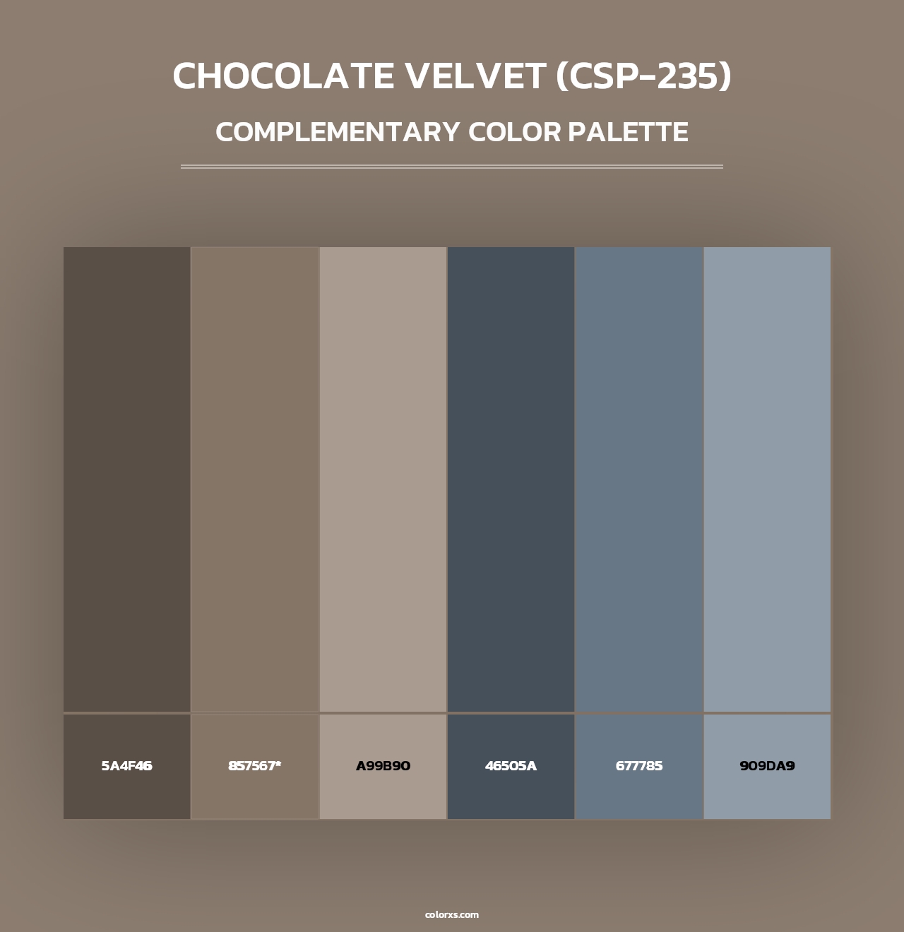 Chocolate Velvet (CSP-235) - Complementary Color Palette