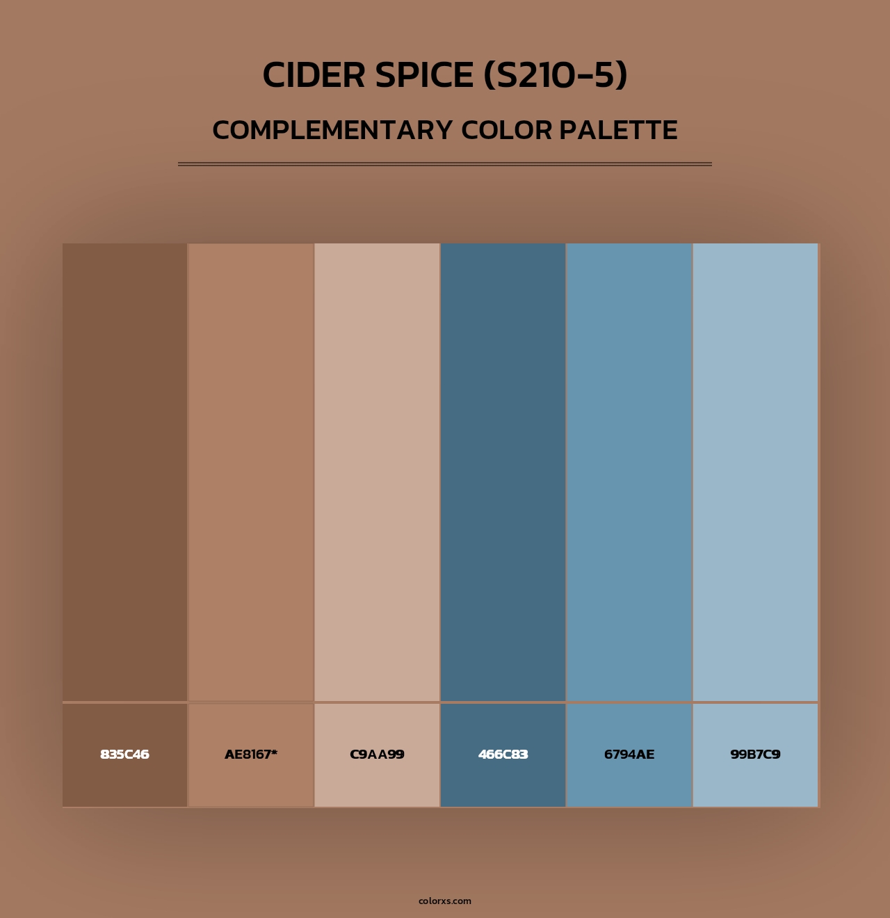 Cider Spice (S210-5) - Complementary Color Palette