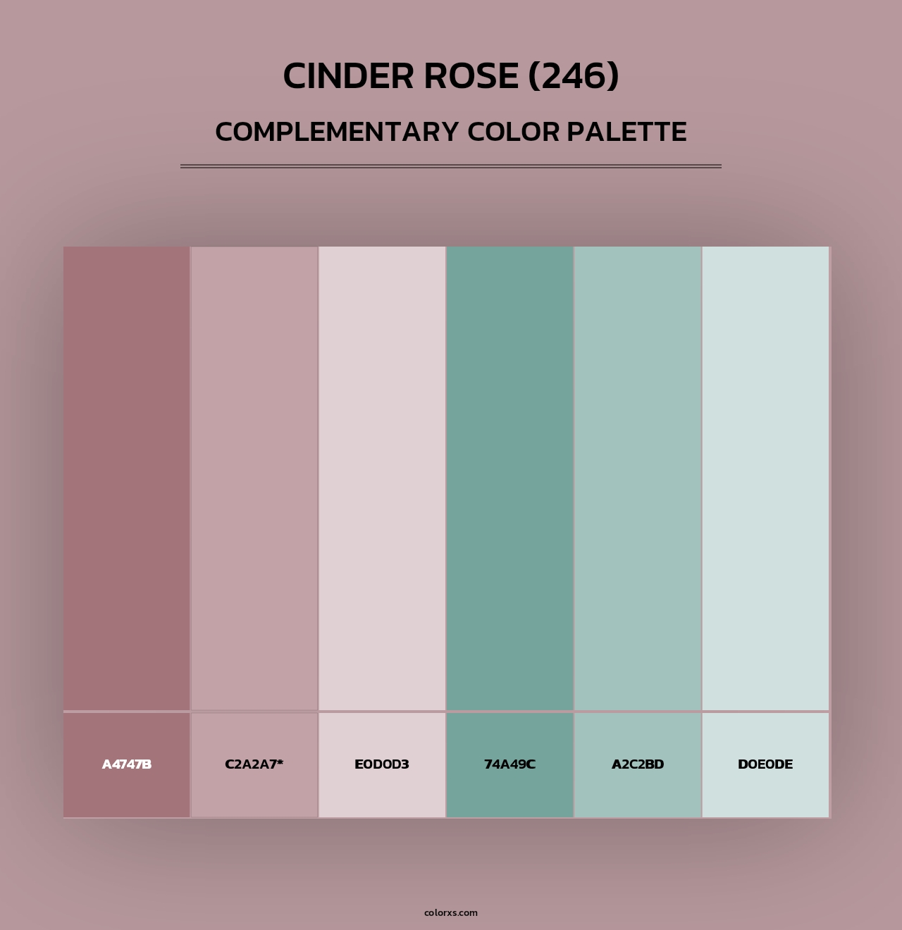 Cinder Rose (246) - Complementary Color Palette