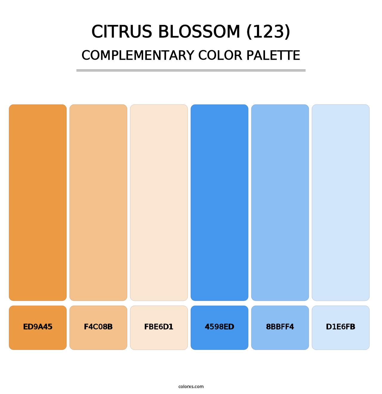Citrus Blossom (123) - Complementary Color Palette