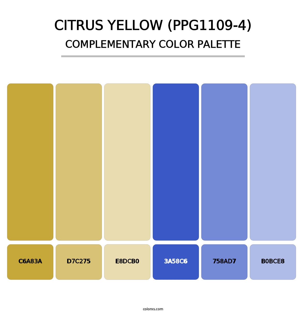Citrus Yellow (PPG1109-4) - Complementary Color Palette