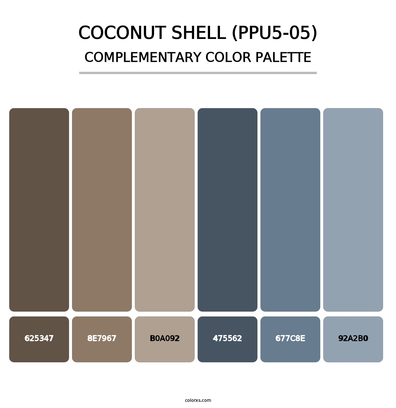 Coconut Shell (PPU5-05) - Complementary Color Palette