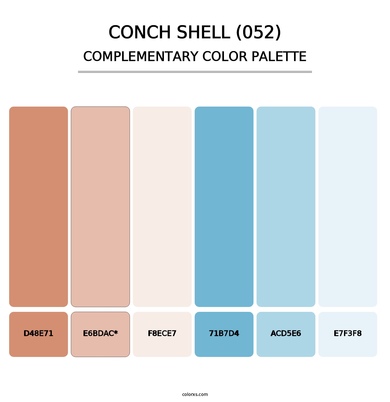 Conch Shell (052) - Complementary Color Palette