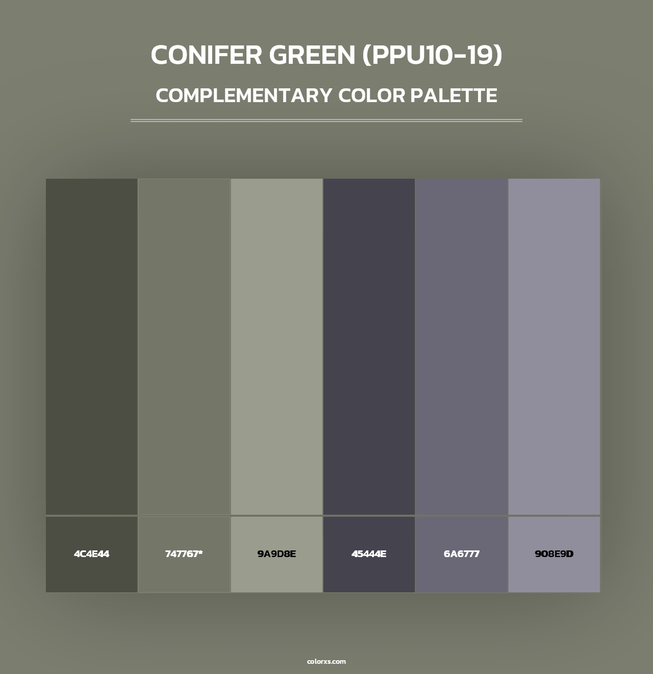 Conifer Green (PPU10-19) - Complementary Color Palette