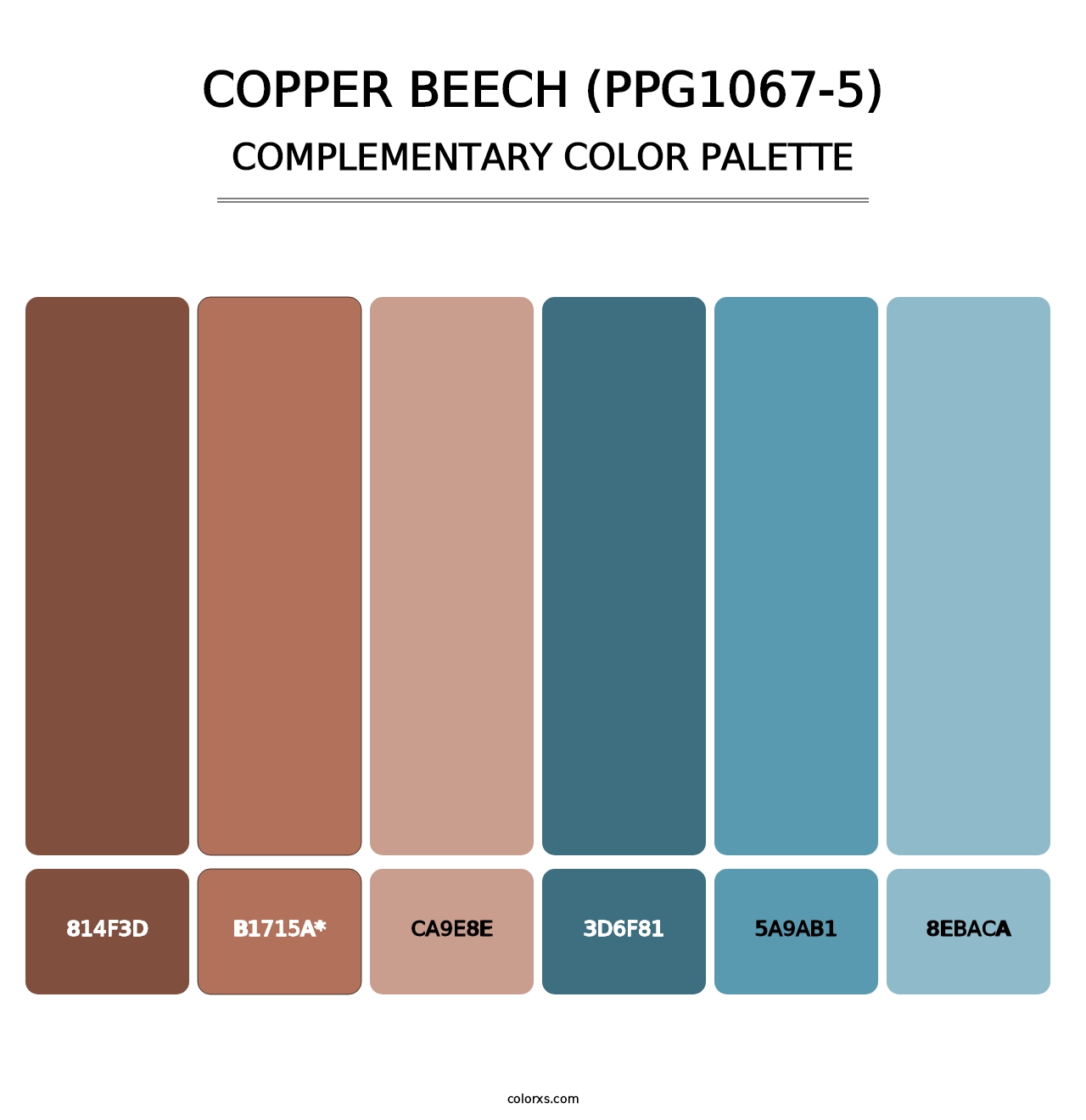Copper Beech (PPG1067-5) - Complementary Color Palette