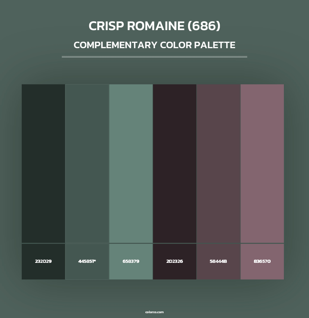 Crisp Romaine (686) - Complementary Color Palette