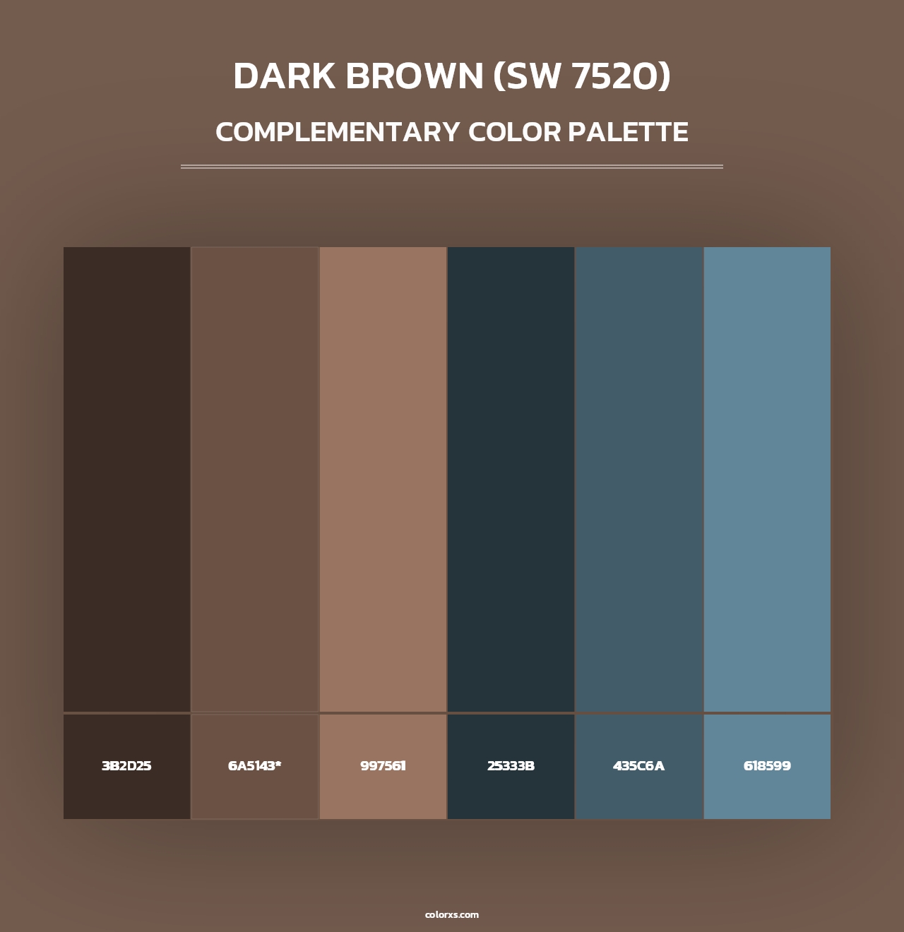 Dark Brown (SW 7520) - Complementary Color Palette