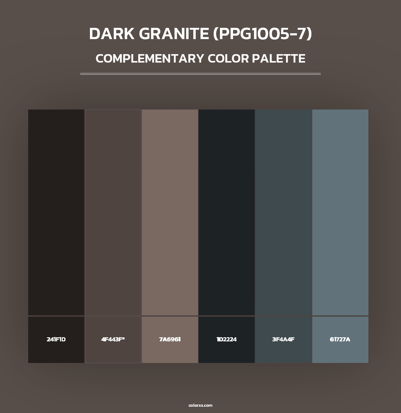 Dark Granite (PPG1005-7) - Complementary Color Palette